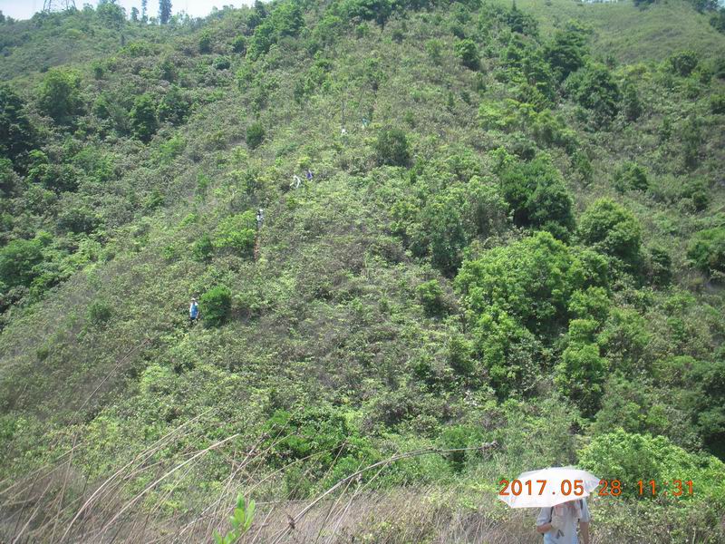 DSCN2915.JPG