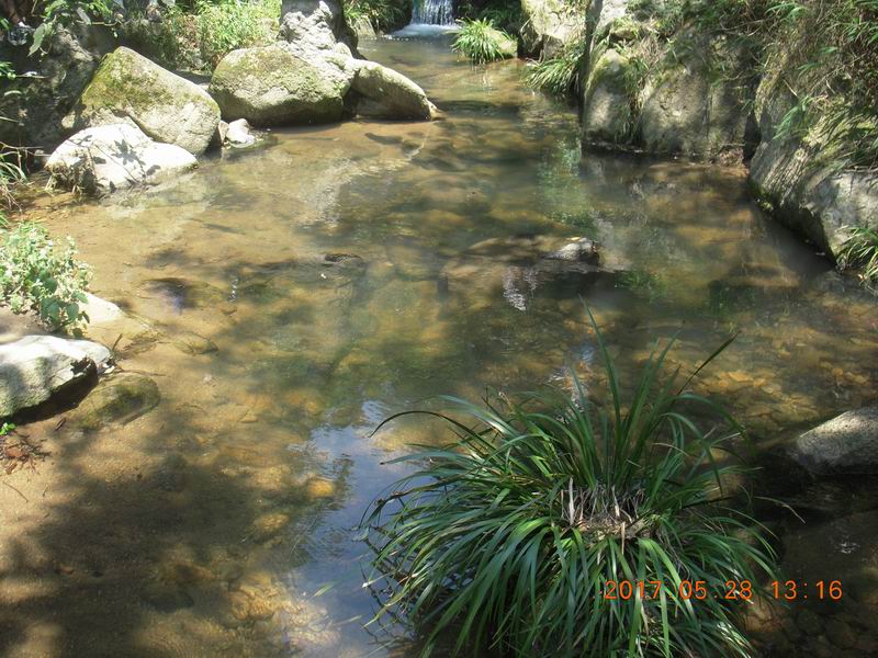 DSCN2938.JPG