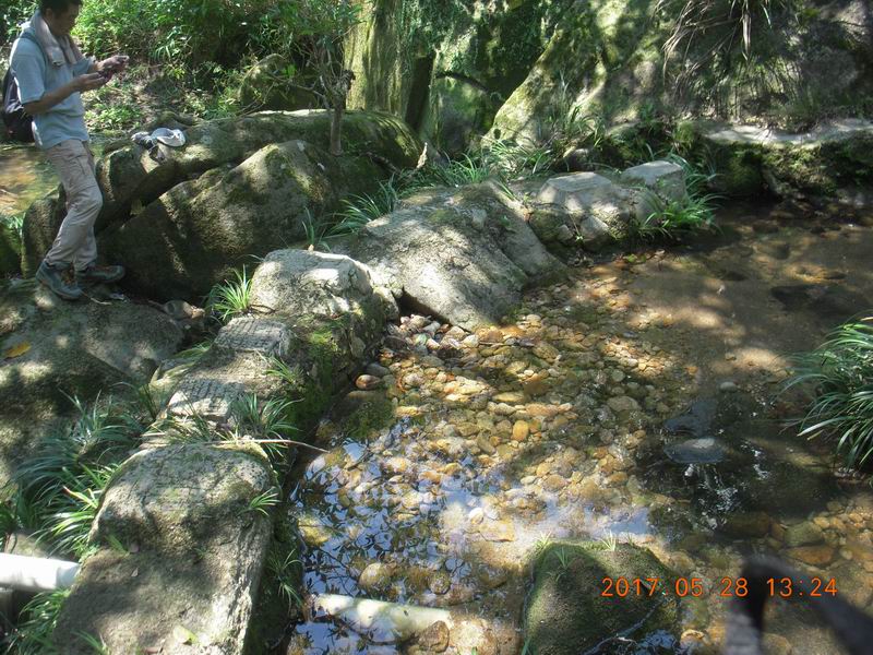 DSCN2941.JPG