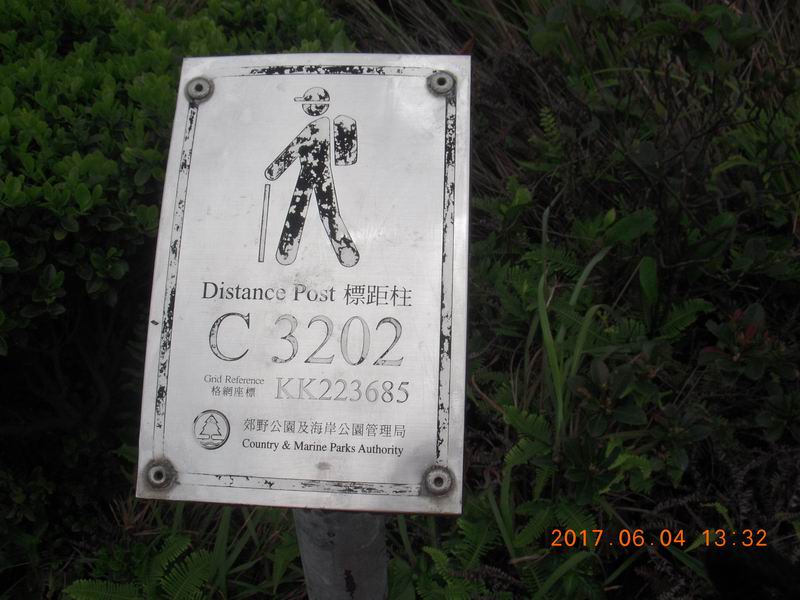 DSCN2981.JPG
