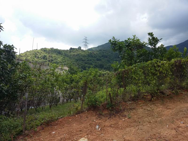 20170611_105641.jpg