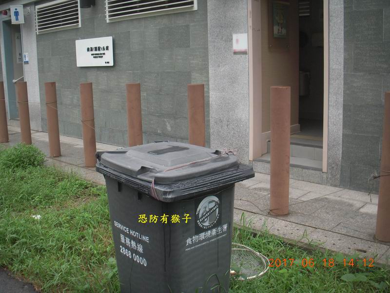 29.JPG