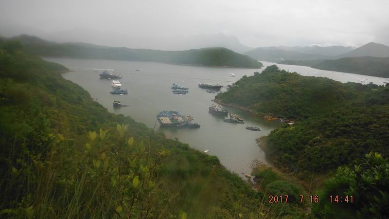 DSCF5950.jpg