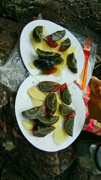 IMG_20170809_0742.jpg