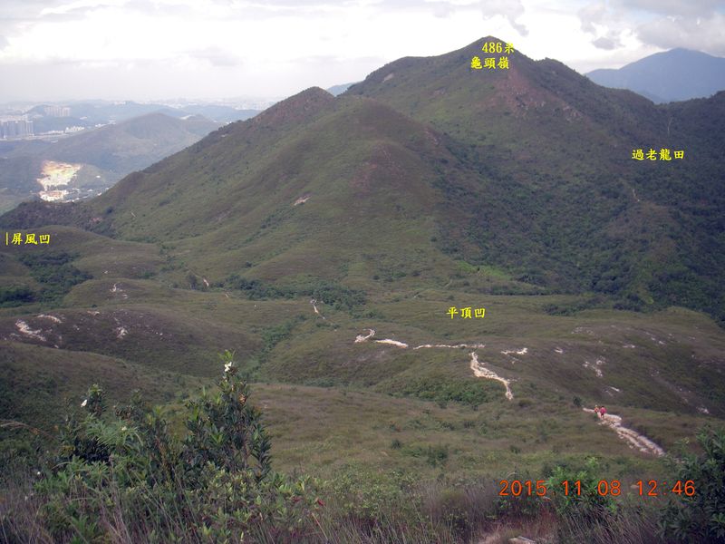 DSCN1461.jpg