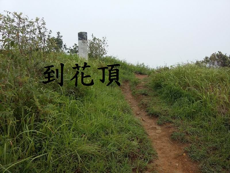 20170903_103516.jpg