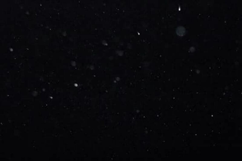 IMG_20171115_37864.jpg