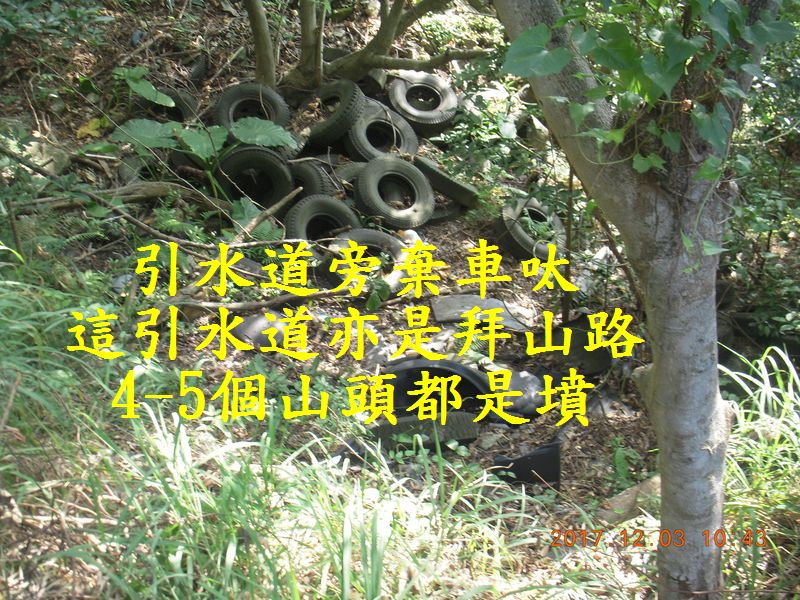 DSCN4364.jpg
