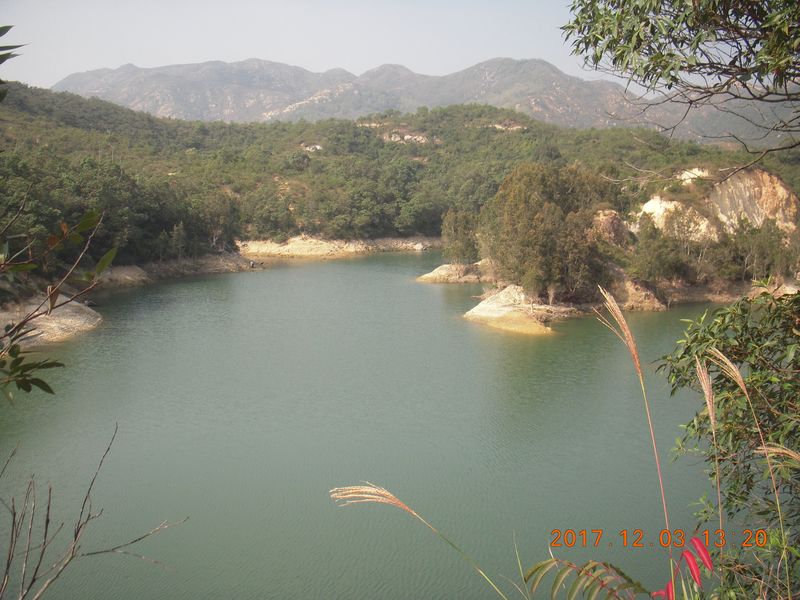 DSCN4377.jpg