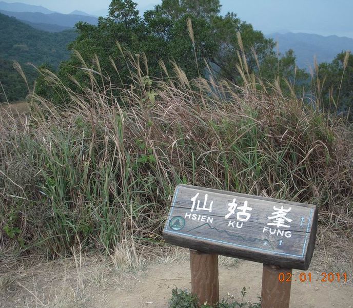 003290.jpg