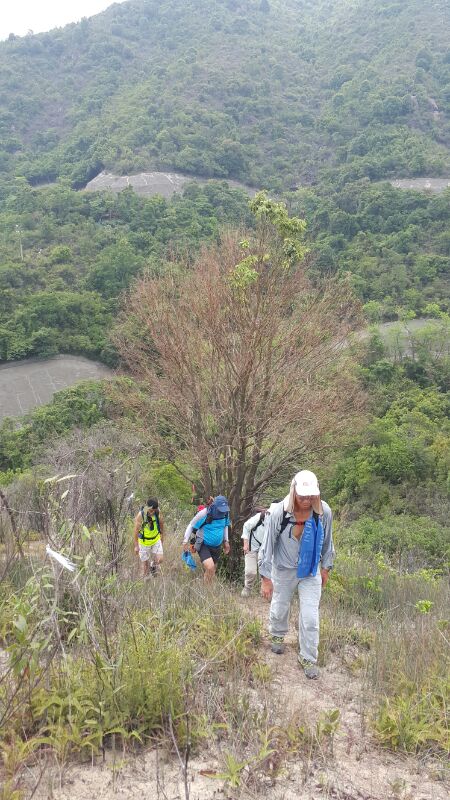 IMG_20180603_29584.jpg