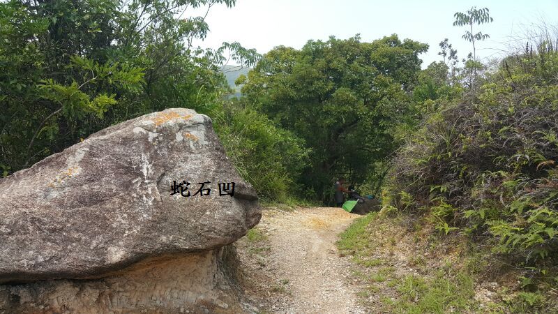 48.jpg